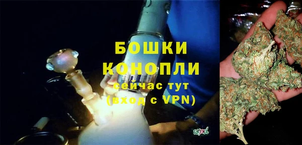 ECSTASY Вяземский