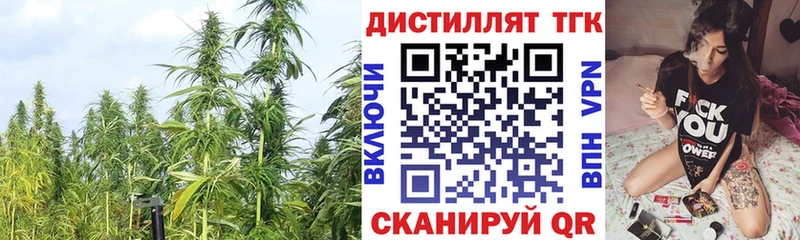 сколько стоит Краснослободск Дистиллят ТГК THC oil