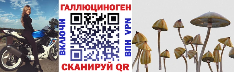 Галлюциногенные грибы Psilocybine cubensis Краснослободск